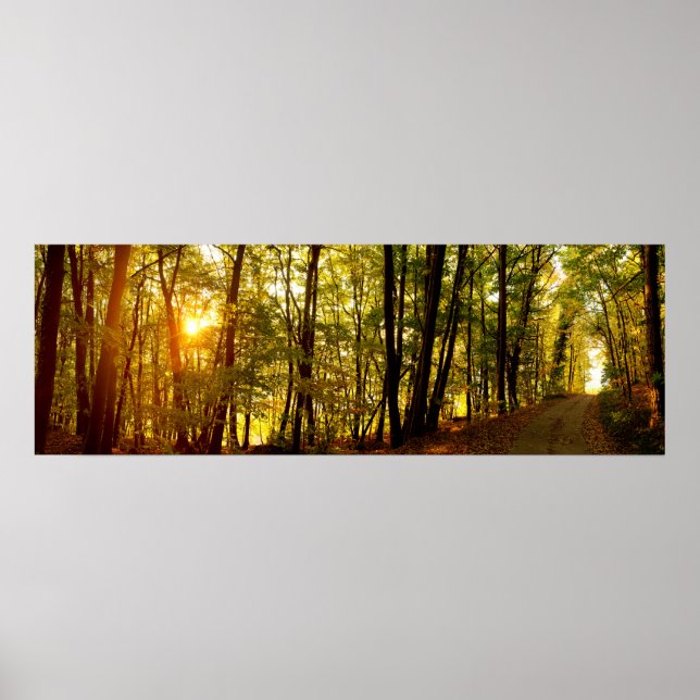 Forest Sunrise Poster (Front)