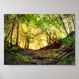 Forest Sunset Nature Poster