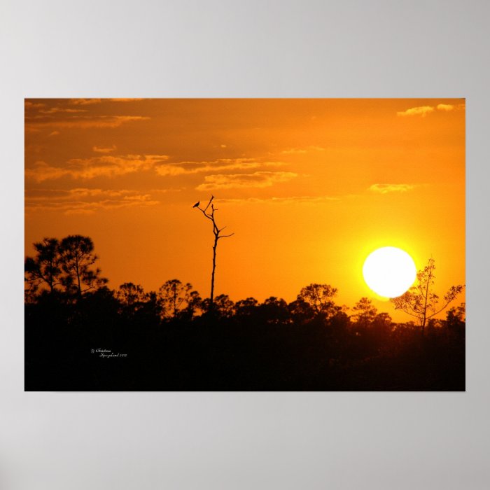 Forest sunset Poster