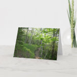 Forest Trail at Acadia Card