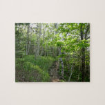 Forest Trail at Acadia Jigsaw Puzzle