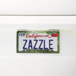 Forest Trail at Acadia License Plate Frame