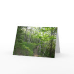 Forest Trail at Acadia National Park Card