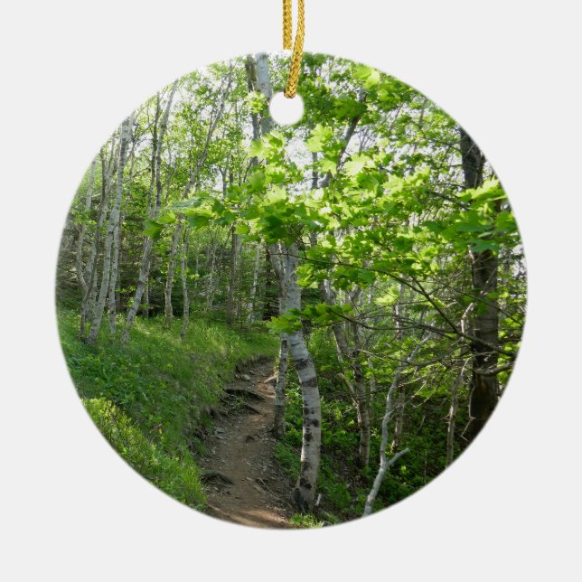 Forest Trail at Acadia National Park Ceramic Ornament (Front)