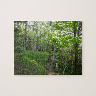 Forest Trail at Acadia National Park Jigsaw Puzzle
