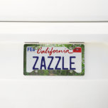 Forest Trail at Acadia National Park License Plate Frame