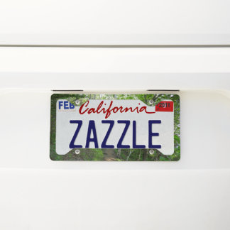 Forest Trail at Acadia National Park License Plate Frame