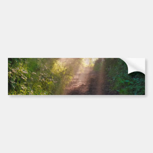 Forest trail bumper sticker