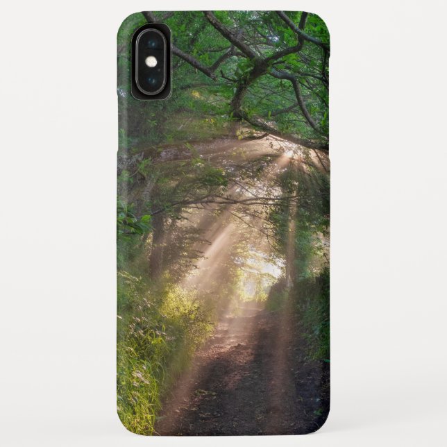Forest trail Case-Mate iPhone case (Back)