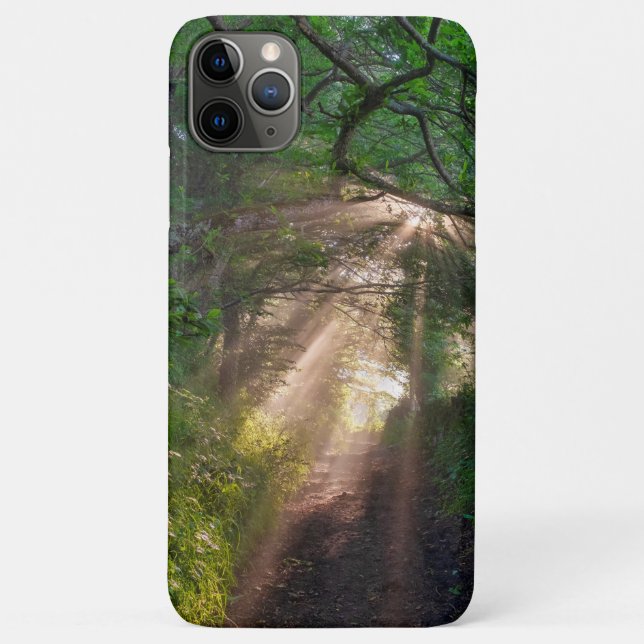 Forest trail Case-Mate iPhone case (Back)