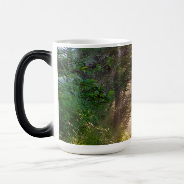 Forest trail color morph mug  (Left)