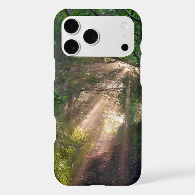 Forest trail iphone case (Back)