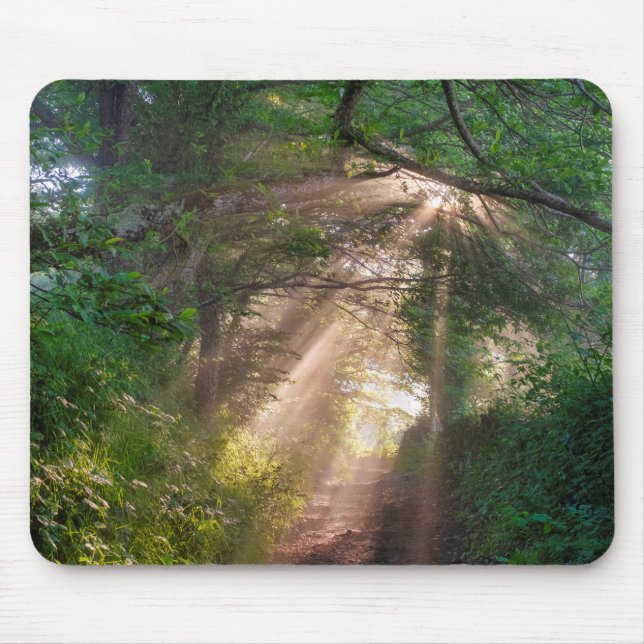 Forest trail mouse pad (Front)