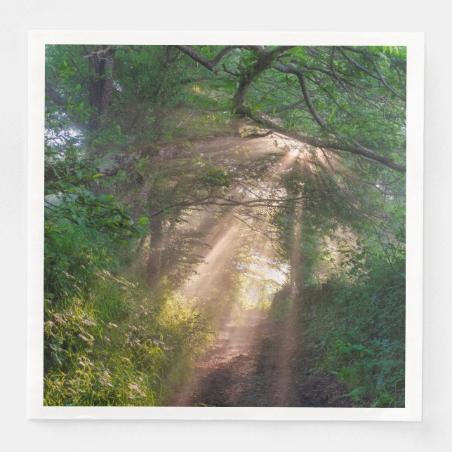 Forest trail paper dinner napkins (Front)