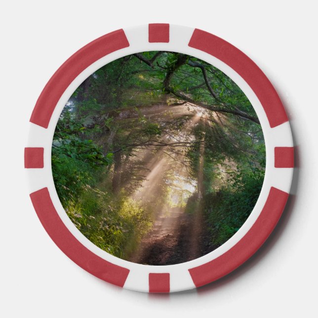 Forest trail poker chips (Front)