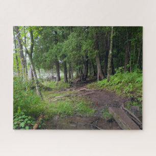 Forest Trail Through Jay Cooke Park Jigsaw Puzzle