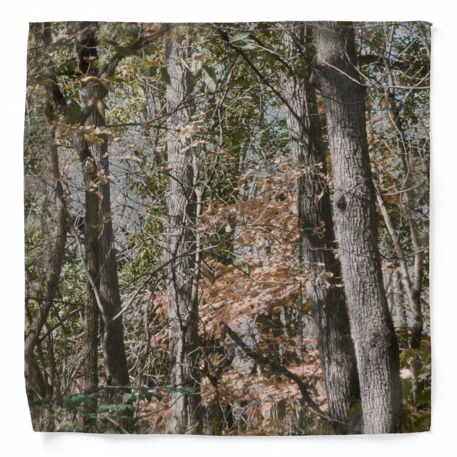 Forest Tree Camo Camouflage Nature Hunting/Fishing Bandana (Front)