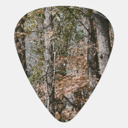 Forest Tree Camo Camouflage Nature Hunting/fishing Guitar Pick