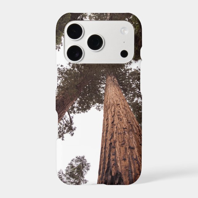 forest, tree iphone case (Back)