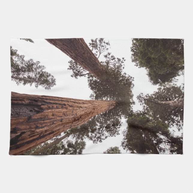 forest, tree kitchen towel (Horizontal)
