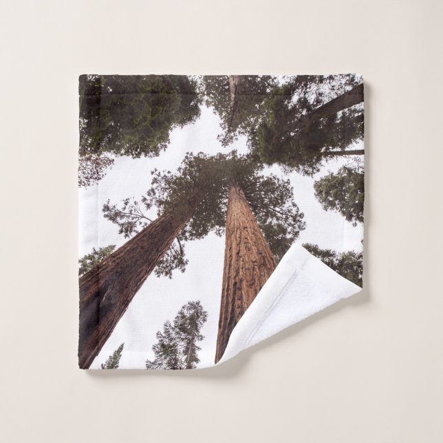 forest, tree wash cloth (Wash Cloth)