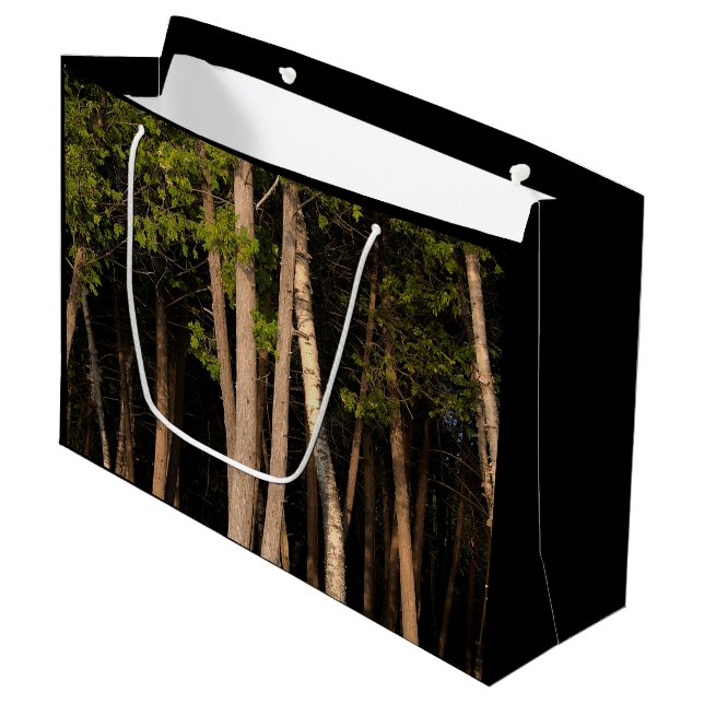 Forest Trees During Sunset Large Gift Bag (Front Angled)