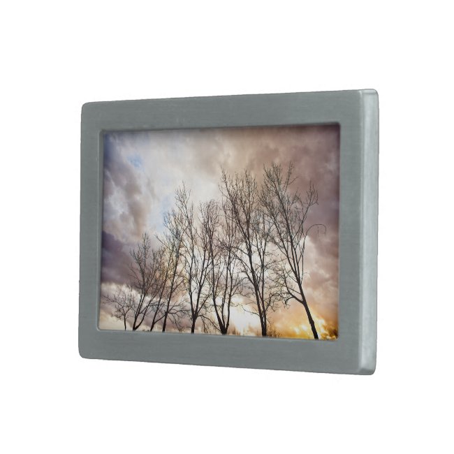 Forest Trees in Autumn with Cloudy Sky