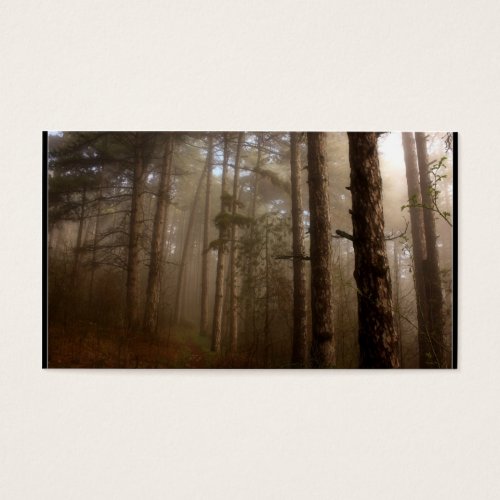 Forest Trees Natural Landscape Business Card Template