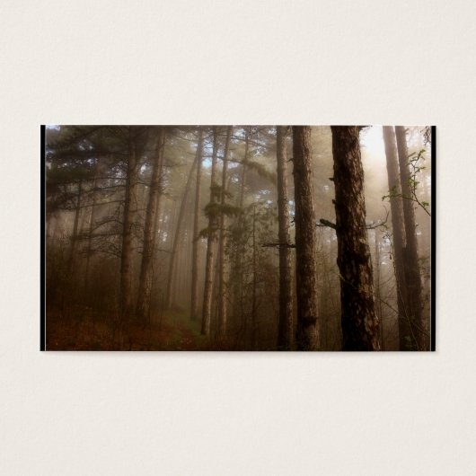 Forest Trees Natural Landscape (Front)