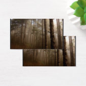 Forest Trees Natural Landscape (Desk)