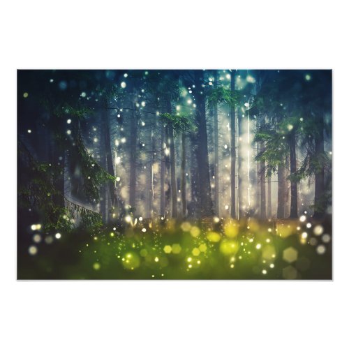 forest trees on forest light dusk photo print