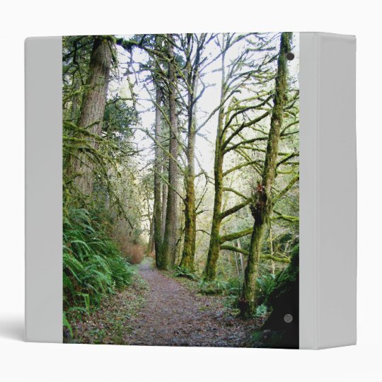 Forest Trees Redwoods Hiking Trail Scenic Oregon Binder
