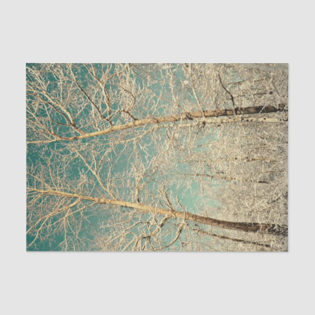 Forest Trees Teal Sky Winter Woodland Tissue Paper (Front)