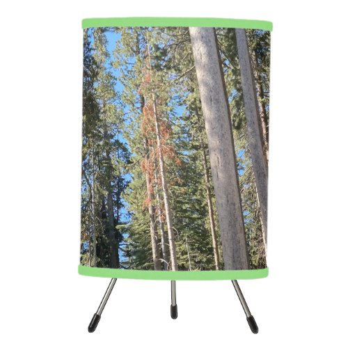 Forest Trees Tripod Lamp