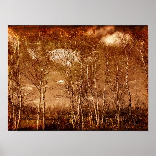 Forest Trees Vintage Grunge Rustic Texture Clouds Poster