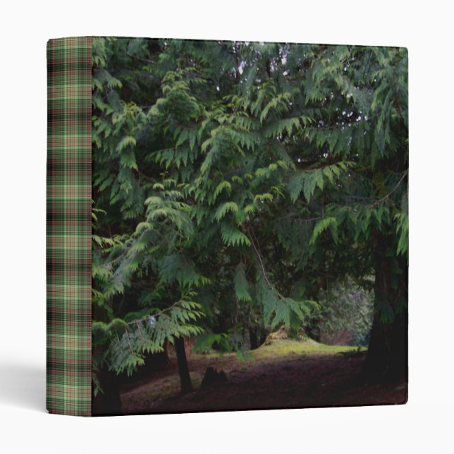 Forest Walk 3 Ring Binder (Front/Spine)