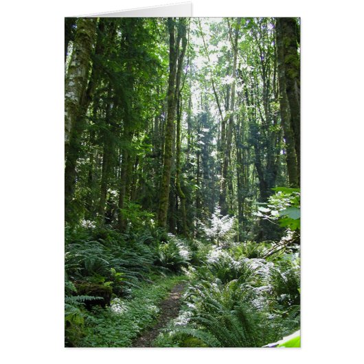 Forest Walk Cards (Front)