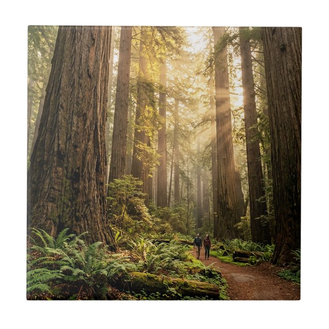 Forest Walk Ceramic Tile (Front)