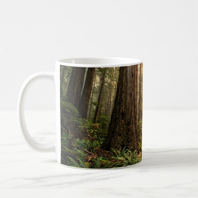 Forest Walk Coffee Mug (Left)