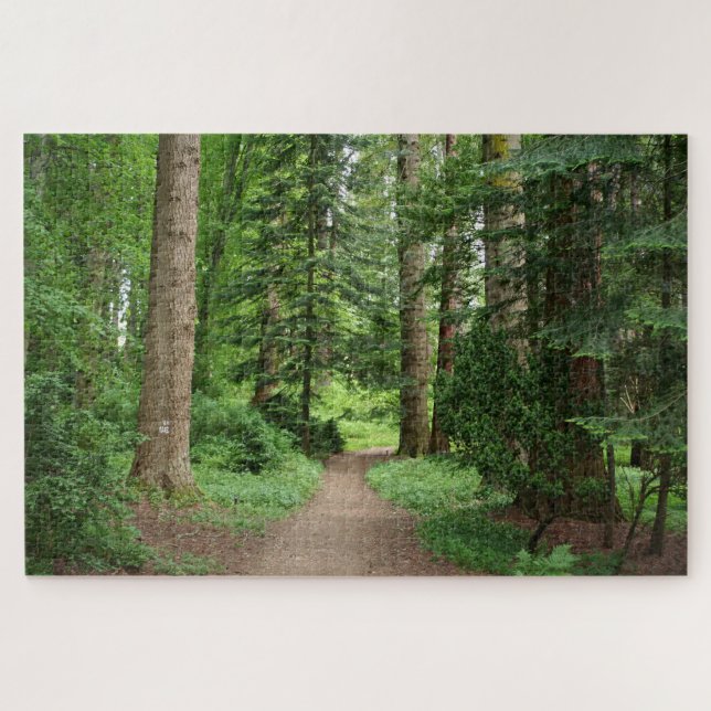 Forest walk, highlands, Scotland Jigsaw Puzzle (Horizontal)