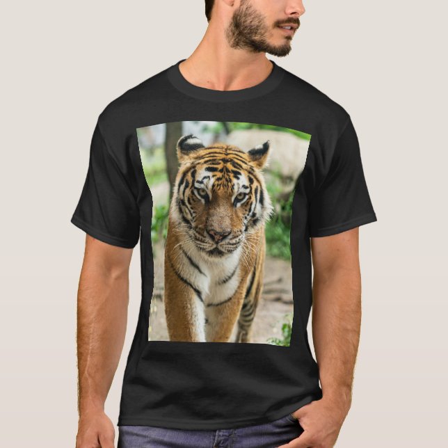 Forest walking tiger  T-Shirt (Front)