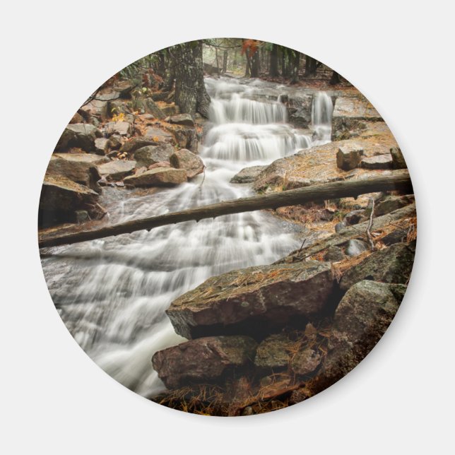 Forest Waterfall Magnet (Front)