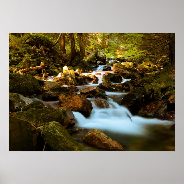 Forest Waterfall Poster (Front)