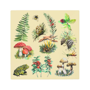 Forest, wild mushrooms metal print