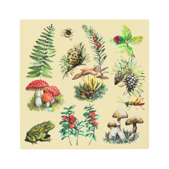 Forest, wild mushrooms metal print (Front)