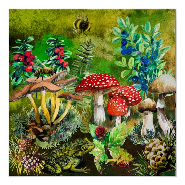 Forest, wild mushrooms poster (Front)