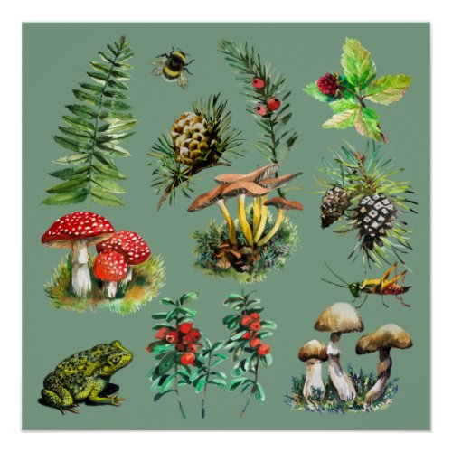 Forest wild mushrooms poster