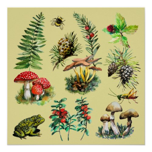 Forest wild mushrooms poster