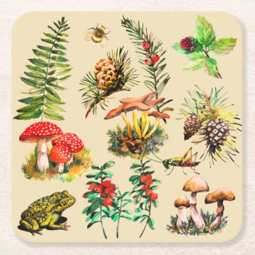 Forest wild mushrooms square paper coaster