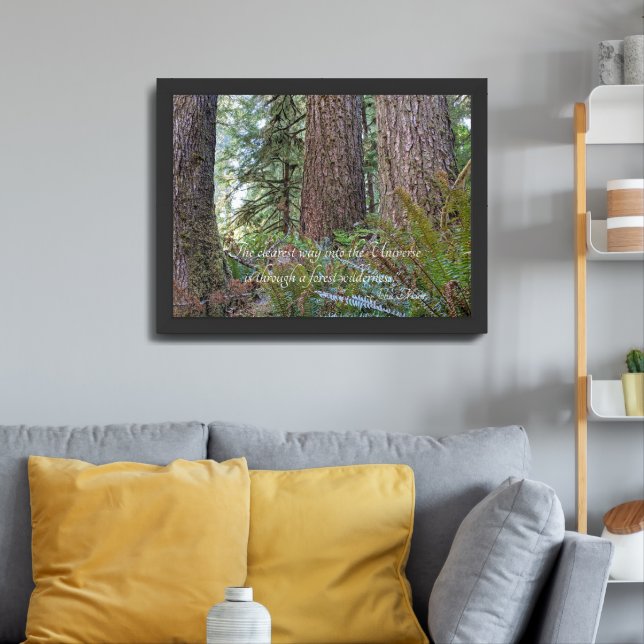 Forest Wilderness John Muir Nature Quote Framed Art (Living Room 3)